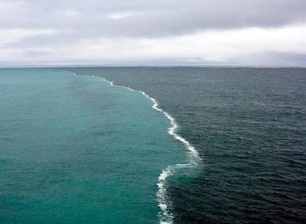 Difference in Salinity Two bodies of water merging in the middle of The Gulf of Alaska form a strange and distinctive junction: One side is water from the melting glaciers (very low salinity) while