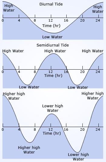 Types of Tides Diurnal Semi-diurnal : one tidal cycle per day