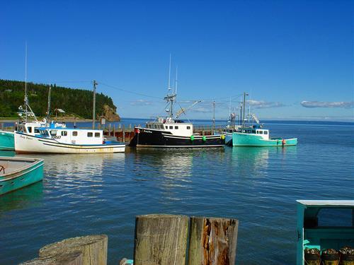 The Bay of Fundy, Canada: world s
