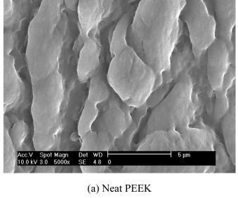 Radiation and Thermal Effects on the Dielectric Relaxation Properties of PEEK 253 Figure 6. Scanning electron micrographs of the surfaces of aged PEEK samples. Figure 7.
