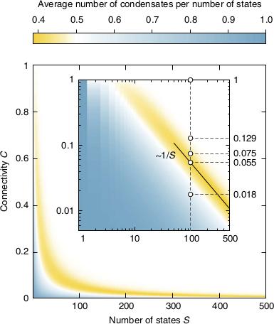 Condensation in large random networks of states Simon Kirschler, Asmar Nayis (Universität