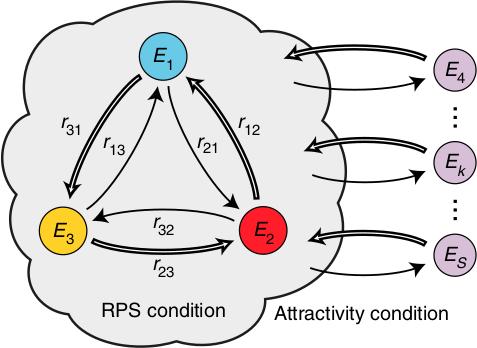 Design of active condensates Conditions: RPS-condition: RPS cycle r i 1,i+1 > r i+1,i 1 Attractivity-condition: 3 3 c j r jk > c j r kj j=1