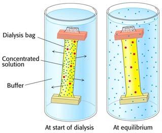 Membrane based filtration methods Ultrafiltration Molecules migrate through a semipermeable membrane under pressure or centrifugal force Typically used to concentrate macromolecules but can be used