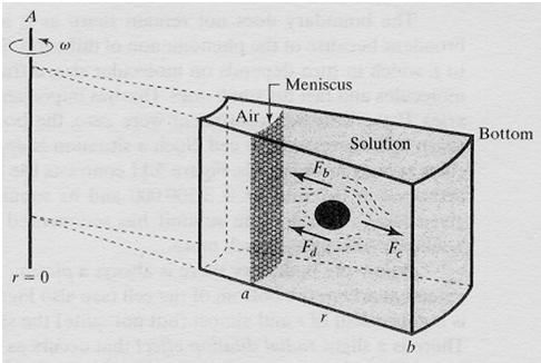 Sedimentation Forces Centrifugal: rm = angular velocity radians