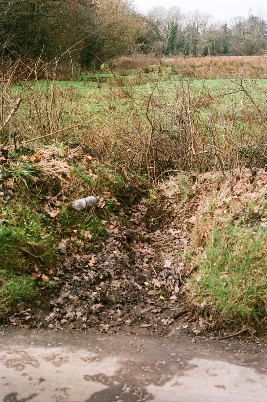 58. Deposits in roadside cut leading to ditch
