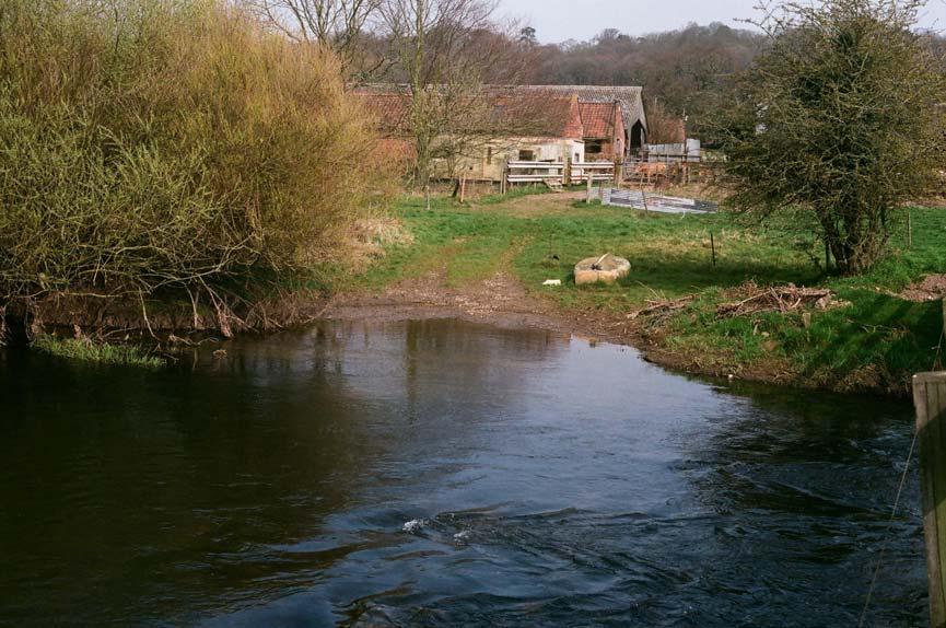 35. Eroding upstream left bank at Attlebridge 