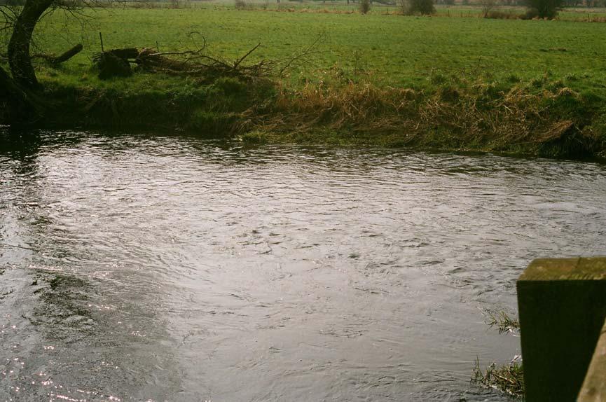 36. Bank erosion by tree, downstream right
