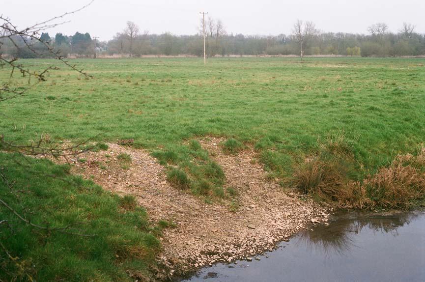 40. Trampled downstream left bank, old