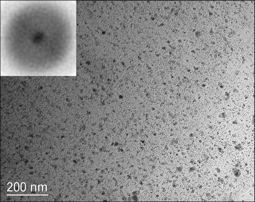 W4.6.3 the surface. Also, plan-view TEM samples were prepared via ion milling with a kiloelectron-volt argon beam. Figure 1 (a & b): TEM of samples before (a) & after (b) high energy ion irradiation.
