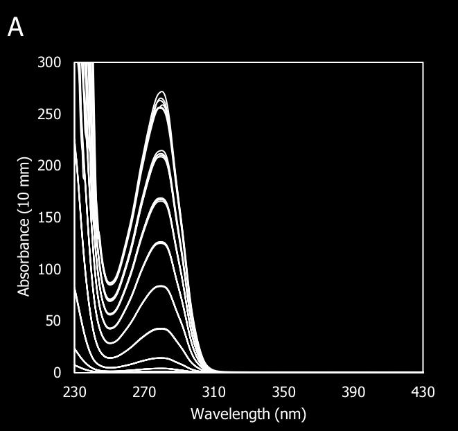 Figure 3: Spectral results for a monoclonal antibody from 0.3 to 180 mg/ml measured on Stunner. A: The full spectrum of each mab concentration, overlaid.