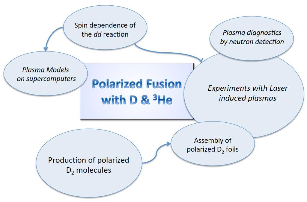The PolFusionProject (2015 / ERC proposal) Measure the polarization dependence of fusion rates in