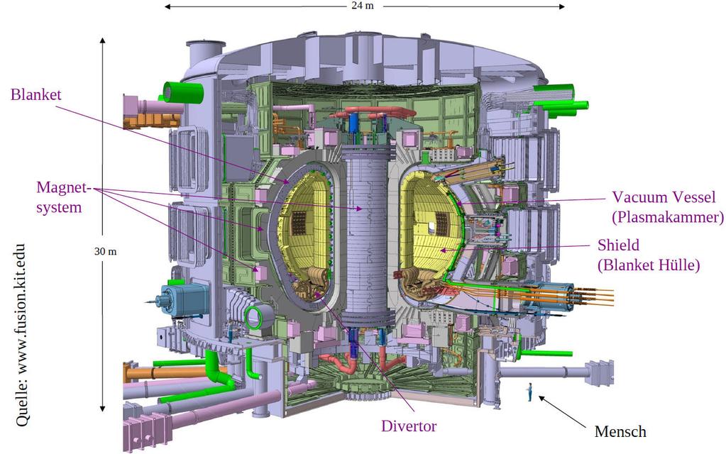 Magnetic Confinement Fusion Plasma density