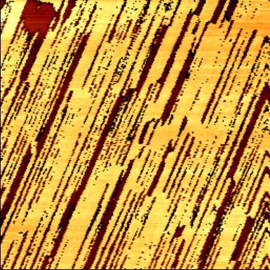5 X[µm] Supplementary Figure S. AFM and PFM.