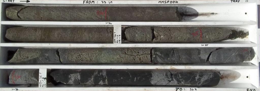 downplunge Further drilling required to in-fill zone and test massive sulphide