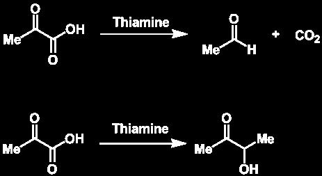 Thiamine Thiamine Vitamin B 1 The first water-soluble vitamin described Is naturally synthesized by bacteria, fungi, and plants Deficiency in animals