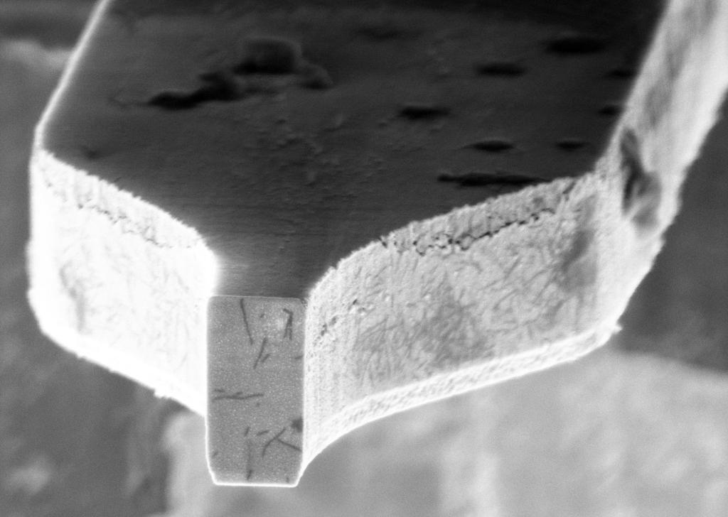 Nanoscale MRI of virus particles 1 µm