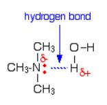 Amines of all three classes (1 o, 2 o and 3 o ) are capable of forming hydrogen bonds with water.