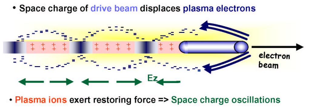 Electrostatic Plasma Wakefield Acceleration Electron filament Filament separation results in charge separation in an