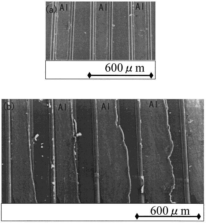 2328 J. Onuki, T. Morita, M. Satou and T. Yatsuo Fig. 3 SEM images of the surfaces of Al electrodes before (a) and after (b) a thermal fatigue test.
