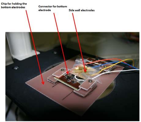 EXPERIMENTAL RESULTS Figure 16: Chip for holding the bottom electrode. The top inverted electrodes are also mounted along with electrical connections.