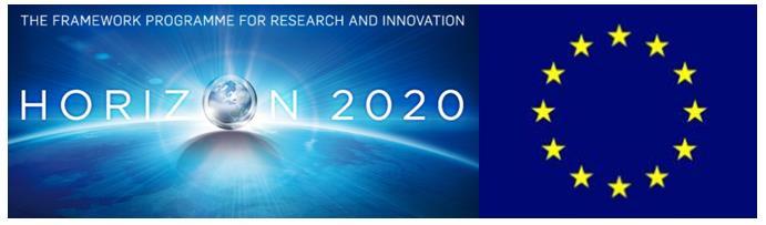 Horizon 2020 research and innovation programme under grant agreement No