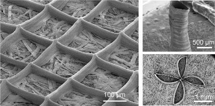 Self-assembled structure Pre-patterned substrate Low