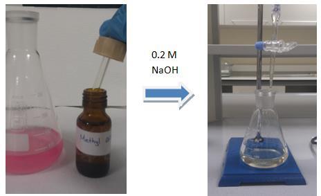 Neutralizing The Excess Acid Reagents and Apparatus Solution from previous part (x2 for each student) 0.