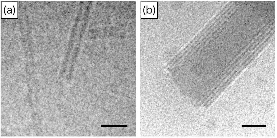 Table S1 ζ-potential of DOPC liposomes in the presence of various concentrations of PSS. [DOPC]=500 µm, ph=2.0. Fig. S10 Magnified cryo-tem images of H 4 TPPS 2 /DOPC tubes: (a) R=1 and (b) R=50.