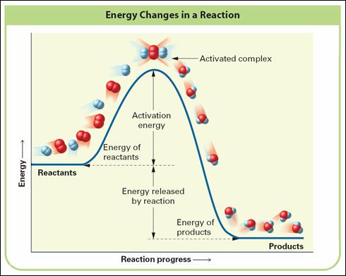 Activation Energy Activation Energy: The minimum increase in potential energy of a