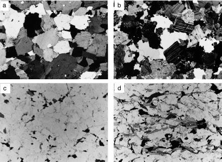 JOURNAL OF PETROLOGY VOLUME 39 NUMBER 6 JUNE 1998 Fig. 3. Photomicrographs showing neosome textures.