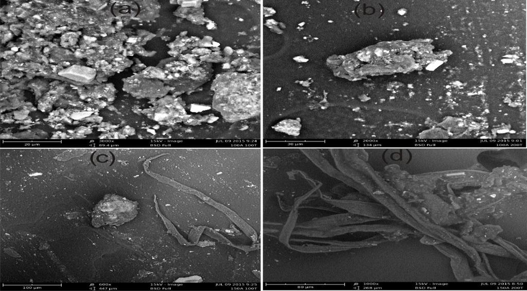 Figure 4: SEM Images of fullerenes solid extracted from carbon soot collected at different arc discharge operating conditions of discharge current and chamber pressure of (a) 100 A and 200 Torr