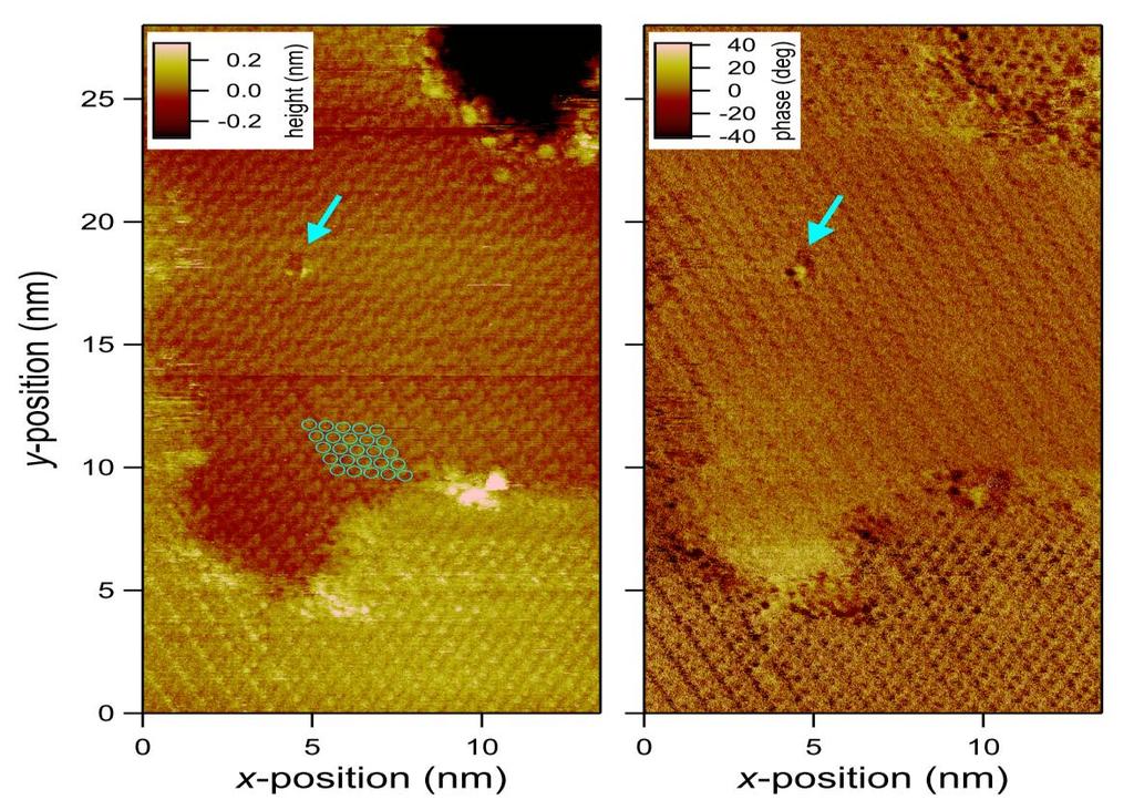 image (right) of a gibbsite surface in pure water.
