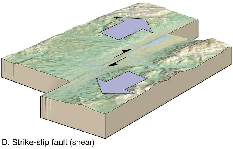 Strike-slip fault Movement vector is paralel to the
