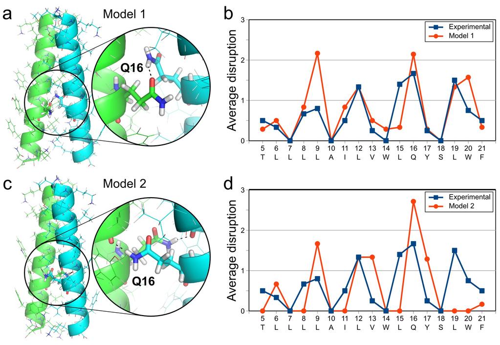 81 Figure 2.5 Figure 2.5 Molecular model of the FtsB transmembrane dimer.