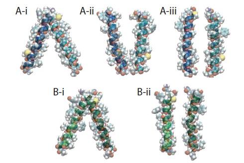 174 Figure S4.4 Figure S4.4 Common conformations of PufX helices seen in ABF simulations with a helix-helix separation of 14.9-15.1 Å.