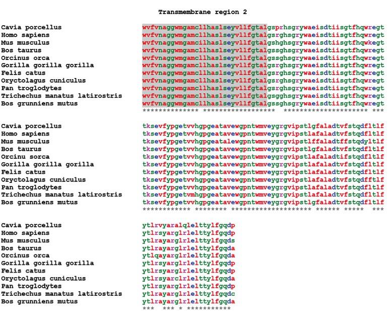 219 Figure S5.1 Figure S5.1 Alignment of mammalian amino acid sequences for Sigma 1 receptor protein (variant 1 only). Sequence is shown starting at the predicted second transmembrane region (TM2).