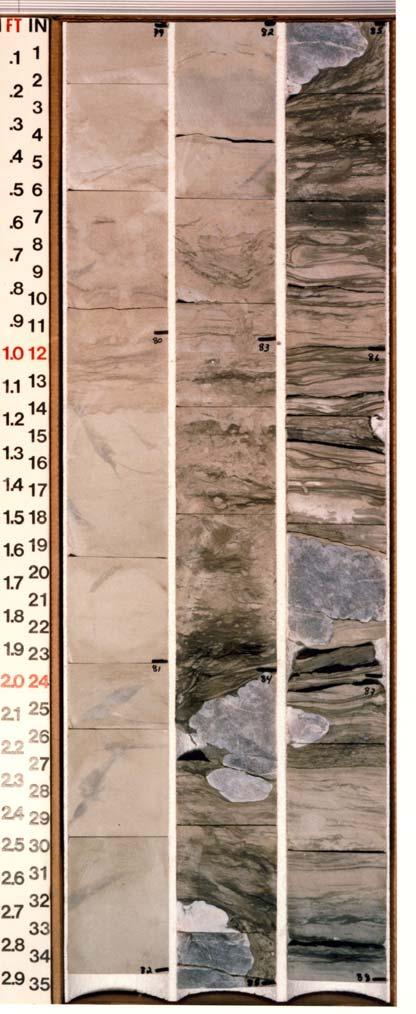 Sandstone Facies Core Photo(2479 2488 feet) Sedimentary structures
