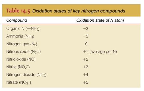 Nitrate respiration Utilised by bacteria at unaerobic conditions Dissimilative nitrogen reduction (nitrogen is reduced to produce energy, not to