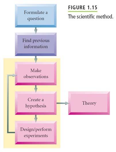 The Scientific Method 16 Process of Science : asking questions and making careful observations.