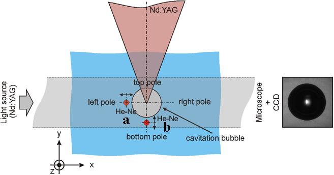 902 P. Gregorčičetal. We present here an optodynamic measurement of the laser-induced cavitation bubble and its oscillations based on a scanning technique using BDP.