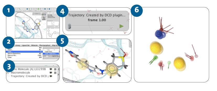11 Creating a pharmacphre frm a single prtein-ligand cmplex Analyzing Mlecular Dynamics Trajectries with LigandScut advanced basic 1 minutes minutes Macrmlecule Macrmlecule Active site Active site