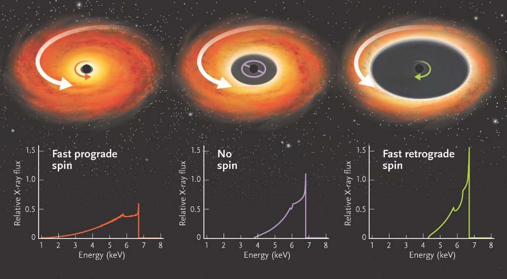 Sky & Telescope, May 2011 Shape of Fe Kα emission line allows us