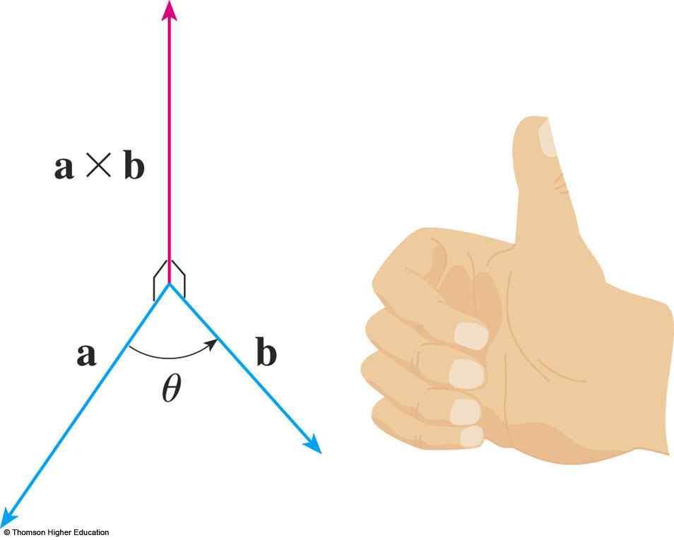 RIGHT-HAND RULE If the fingers of your right hand curl in the direction of a rotation