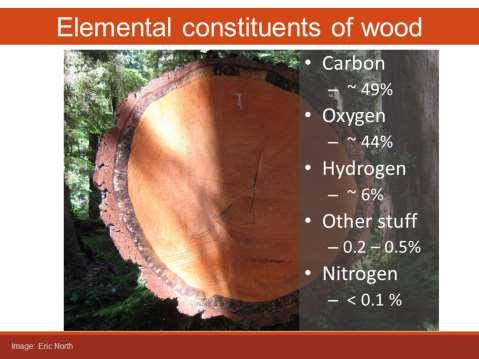 Sapwood Carries moisture and minerals Contains xylem and