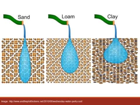 Water moves differently in the soils depending on the texture of the soils Image is a vast over simplification, but a reasonable demonstration of how water moves through soils with different textures.