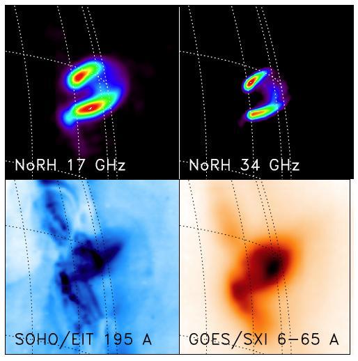 Gyrosynchrotron in flares Flare observed by SOHO, GOES, and Nobeyama Radioheliograph