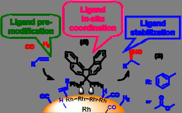 3 Chiral hydroformylation Heterogeneous chiral hydroformylation catalysts were prepared by chiral modification of supported rhodium