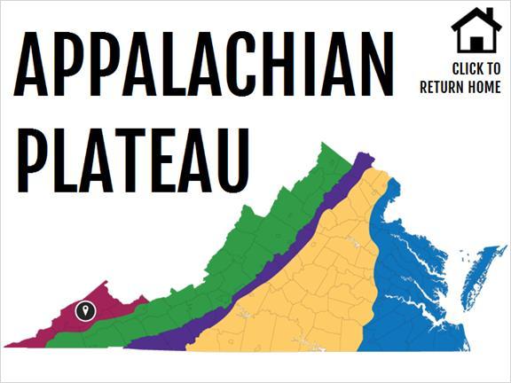 The smallest and western-most province is the Appalachian Plateau. Click on each of the icons to learn more about this area.