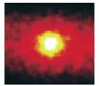 A (SK) neutrino picture of