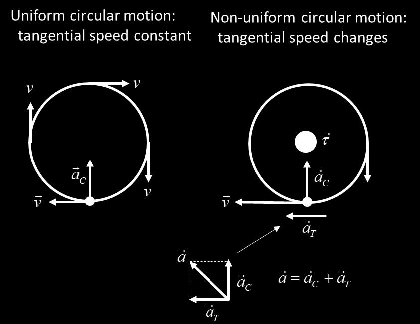 In unifom cicula motion, the tangential speed of the object is constant.
